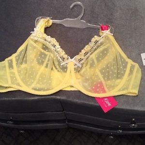 Curvy kate 44H princess Bra